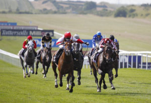 DJET TAOUY wins the 2013 running of the President of the UAE Cup (UK Arabian Derby) at Newmarket