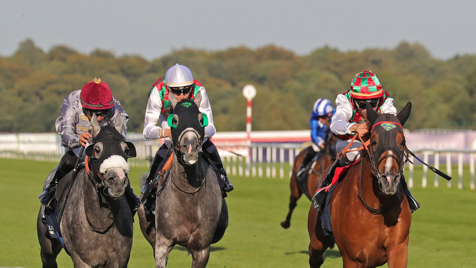 ARENA RACING COMPANY PURCHASES ARABIAN RACING ORGANISATION - ARO Racing