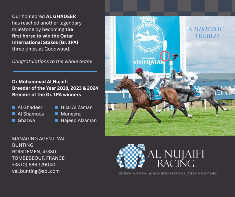 Arabian Racing - ARO Racing. Call 01635 524445
